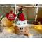 This image shows a Christmas Elf Decoration. It is made using a dried gourd. The elf is named Zingle Kringle and is wearing a handmade hat. 